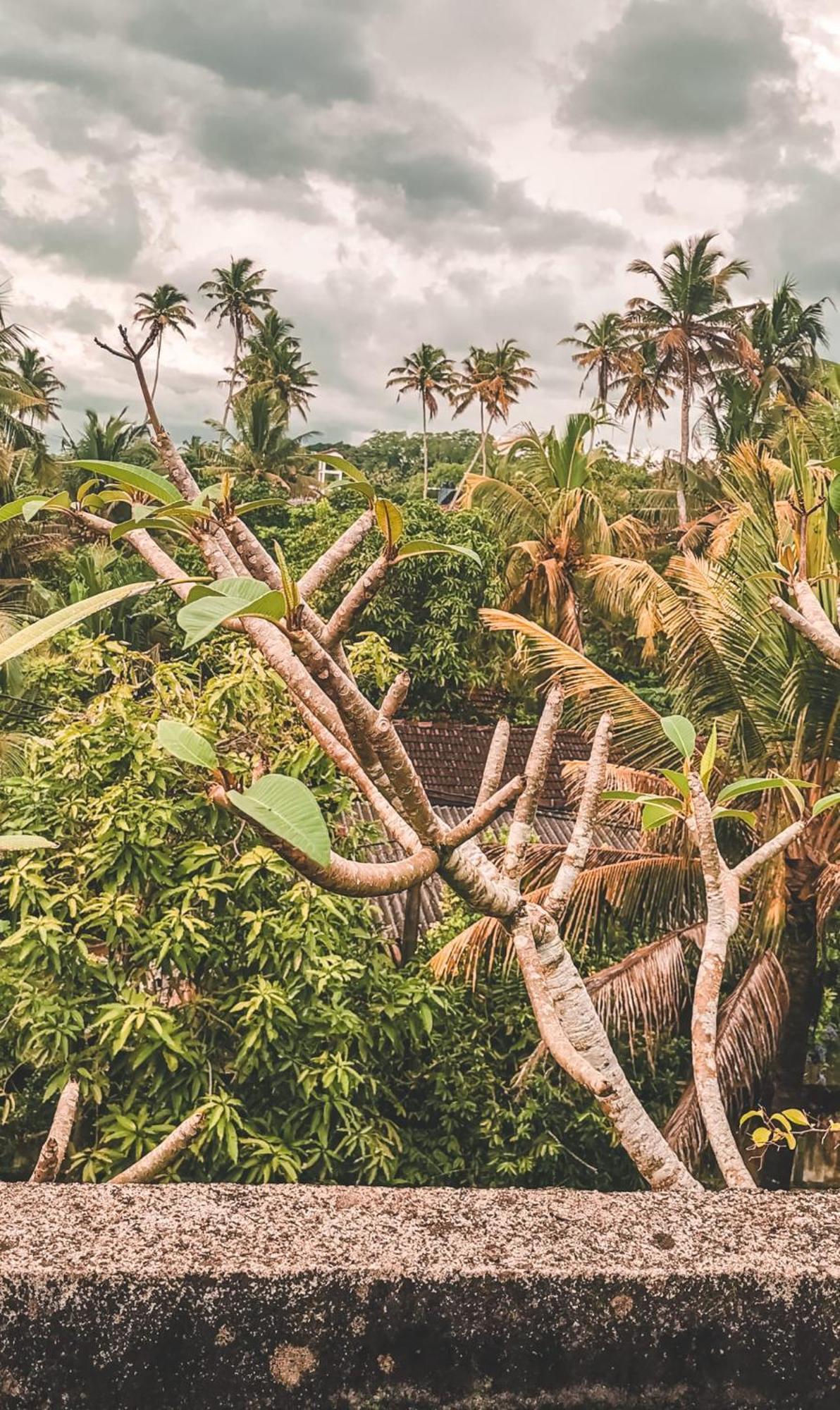 Weligama Bay Eco Villa 外观 照片